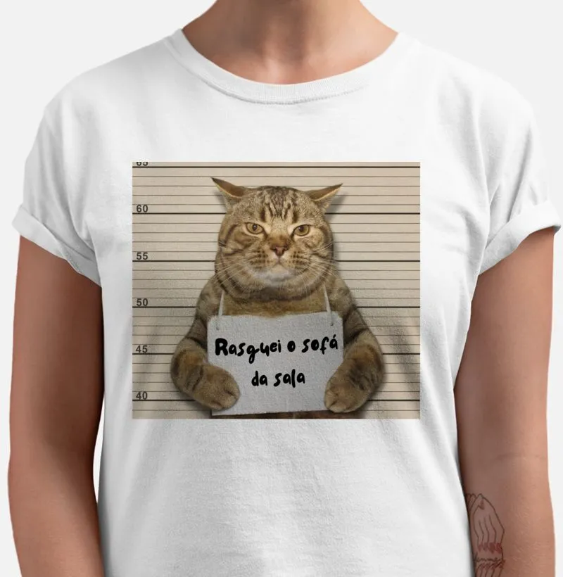 Rasguei o sofá da casa