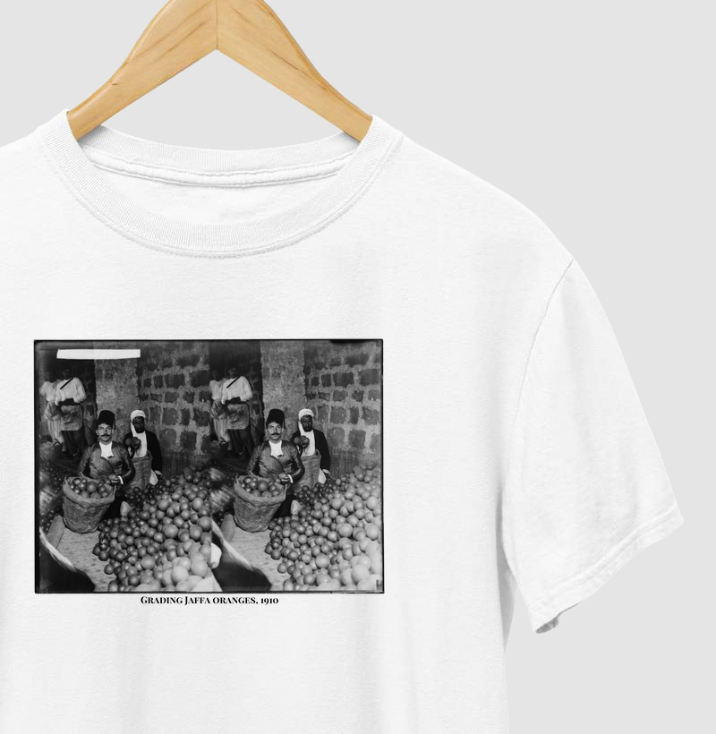  Classificação das Laranjas Jaffa (1910)
