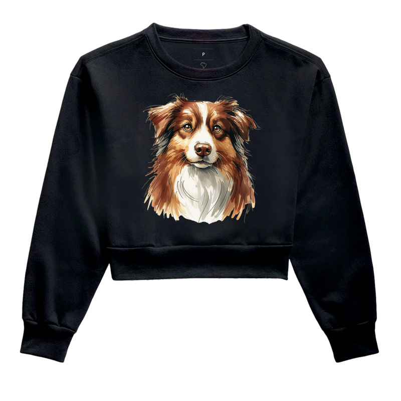 Australian Shepherd Red Merle Tricolor