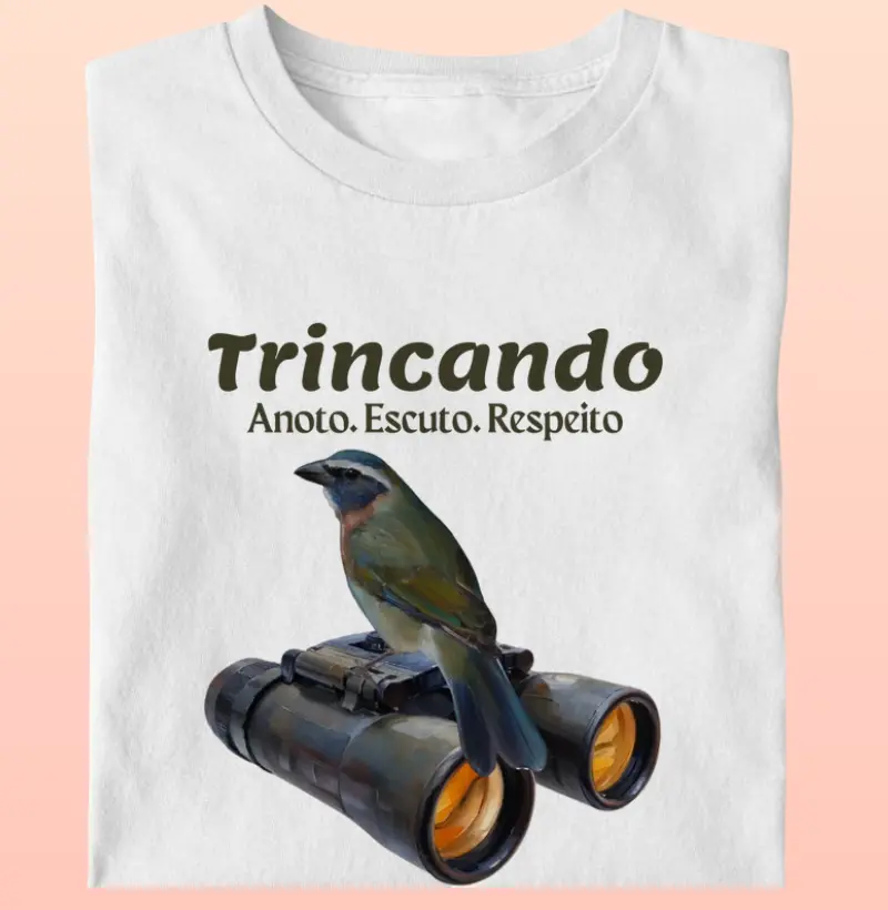 Coleção Observadores 1.0