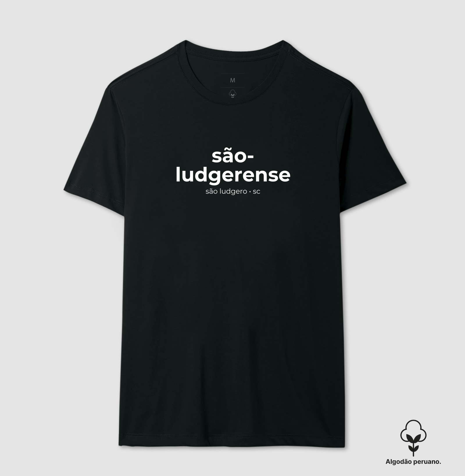 São-ludgerense | Gentilico SC