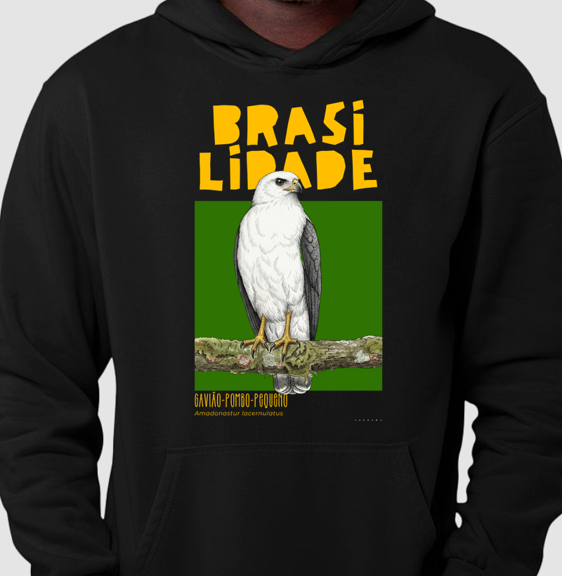 Gavião-pombo-pequeno