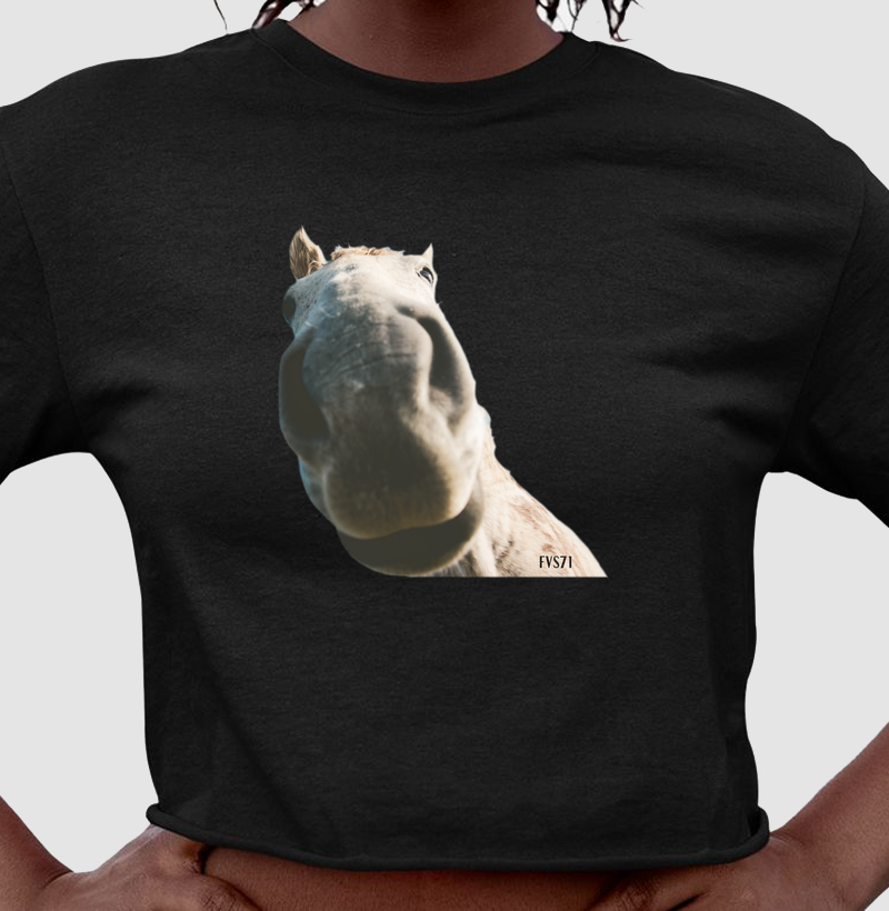 Selfie Cavalo 
