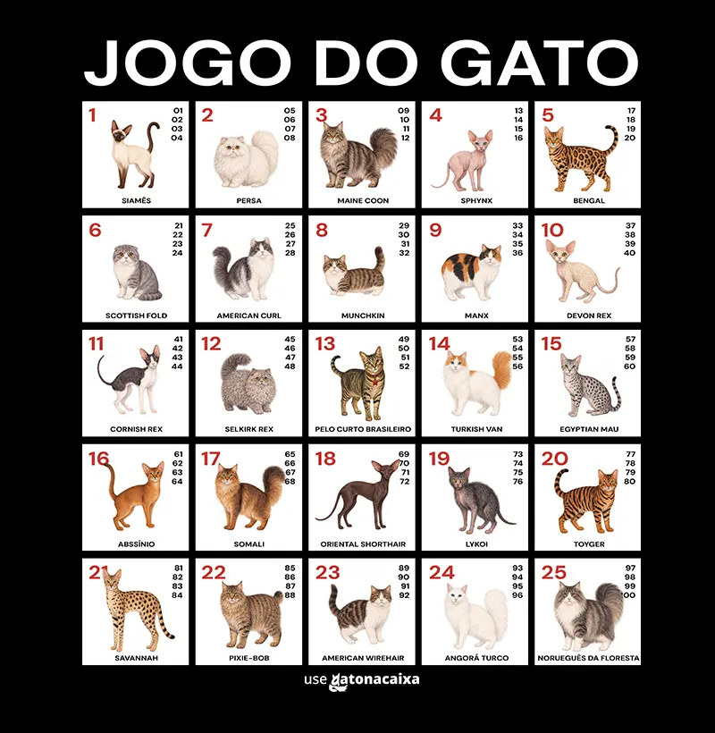 Jogo do Gato