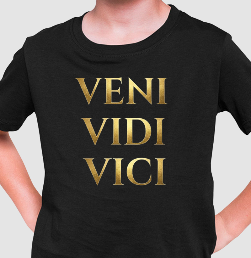 VENI VIDI VICI