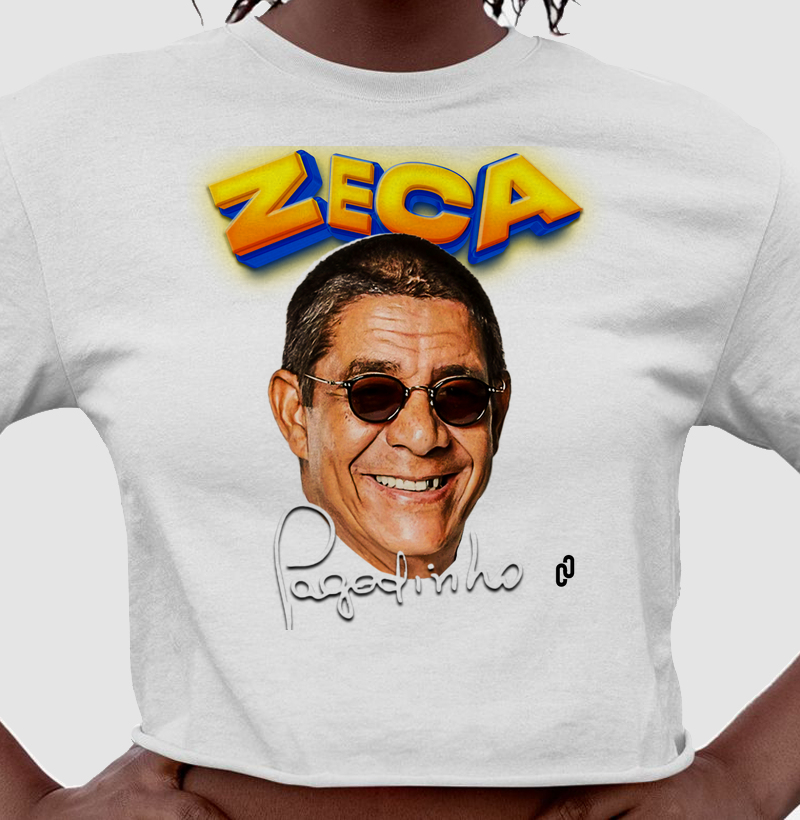 804 - ZECA PAGODINHO