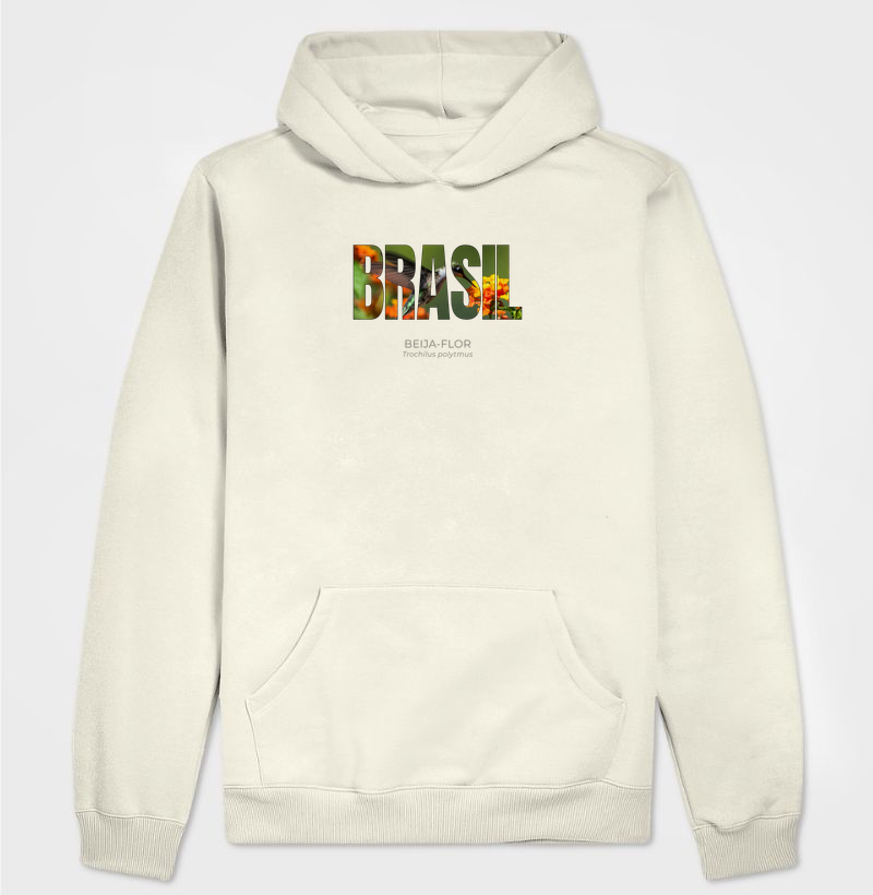 Animais do Brasil – Beija-flor