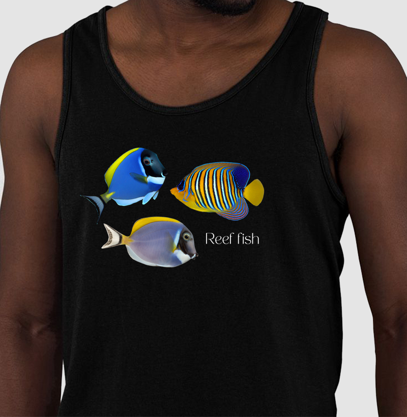 Reef Fish - Regata