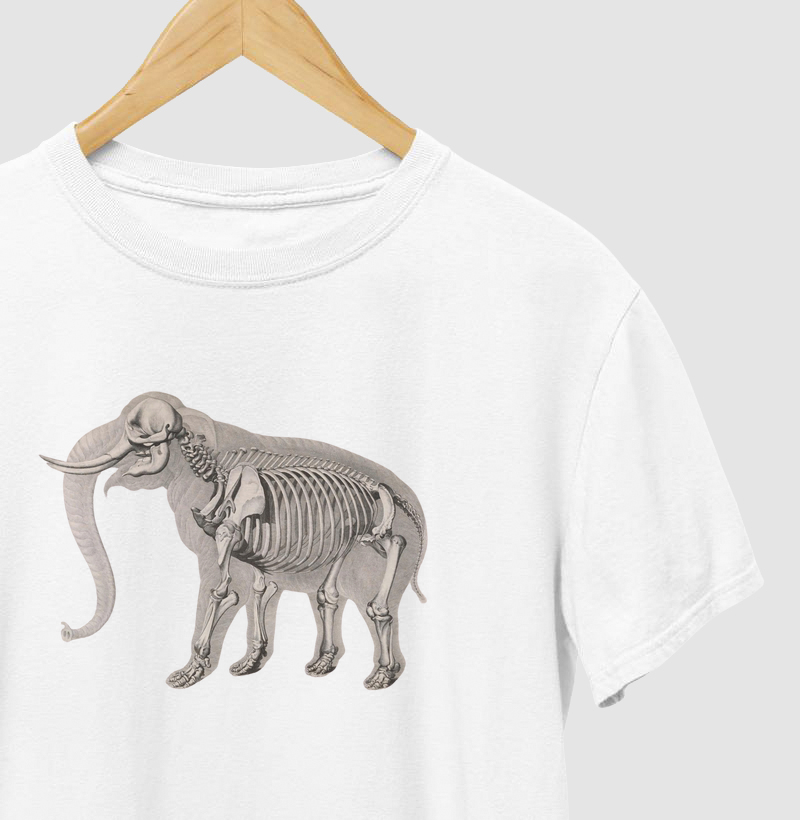 Esqueleto elefante (1821–38)