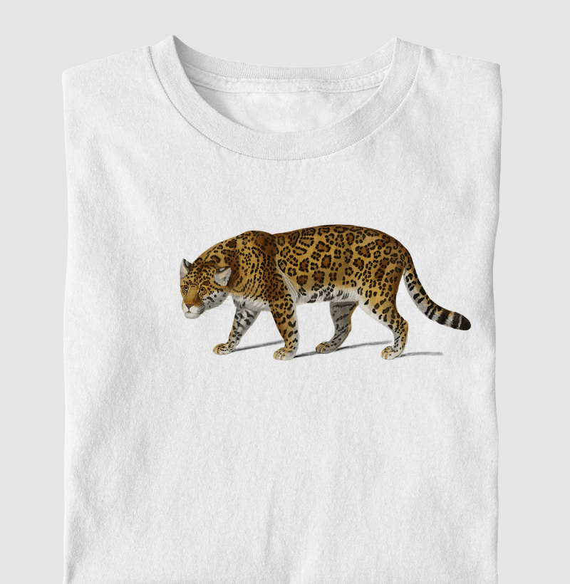 Onça-pintada