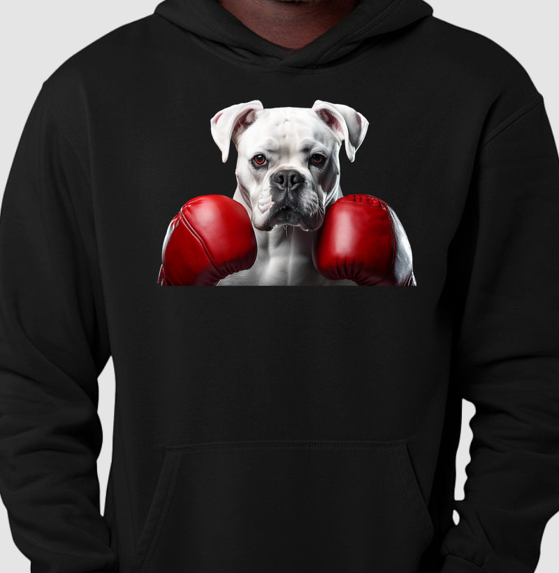 Boxer-2