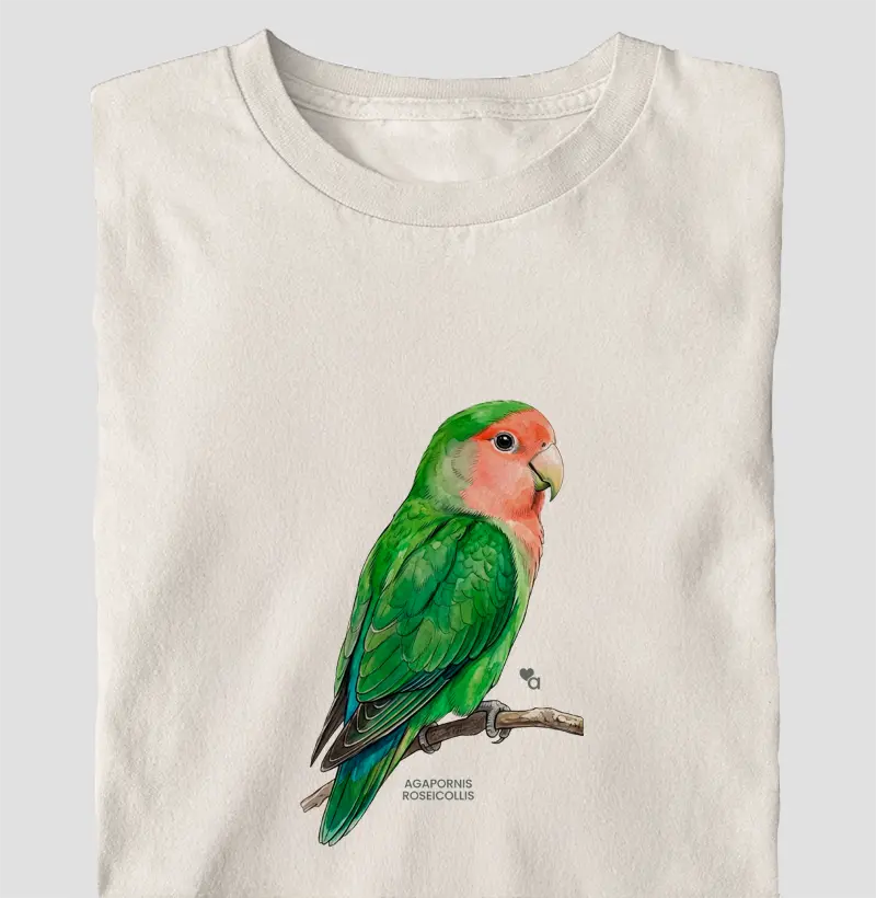 Aves - Agapornis Roseicollis - Oversized