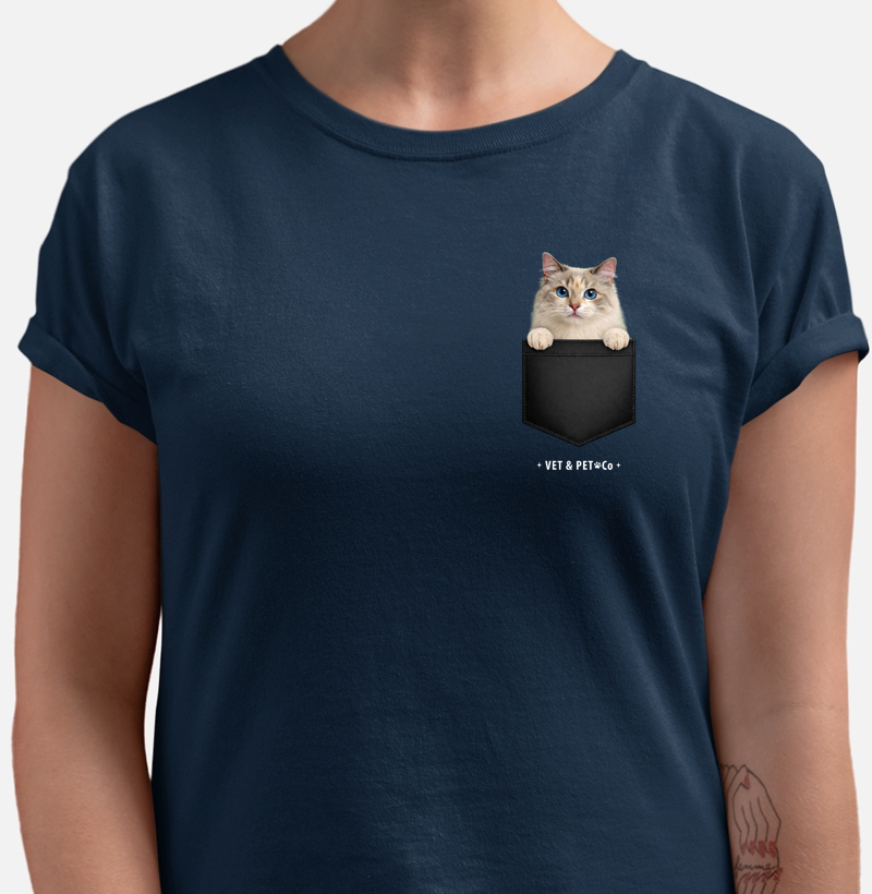 Gato de bolso (Blue Eyes)