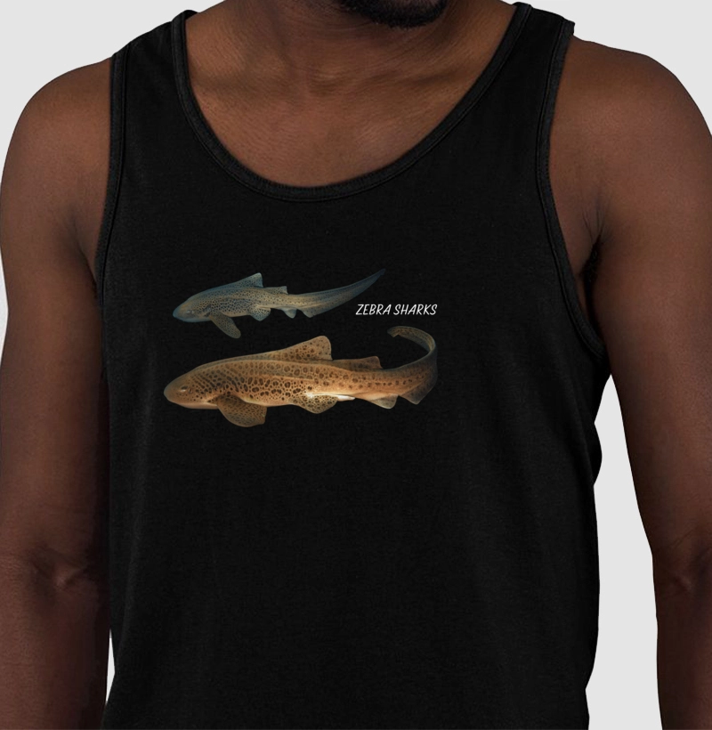 Zebra Sharks