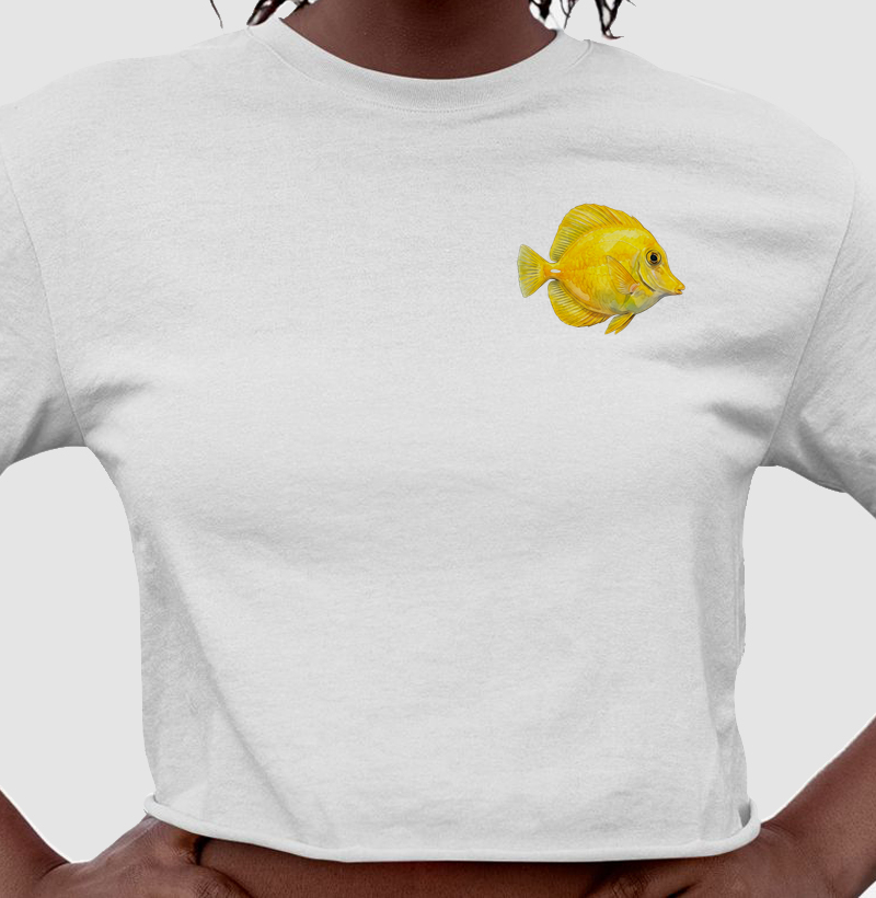 Peixes - Mini - Cirurgião-amarelo - Cropped - Cropped
