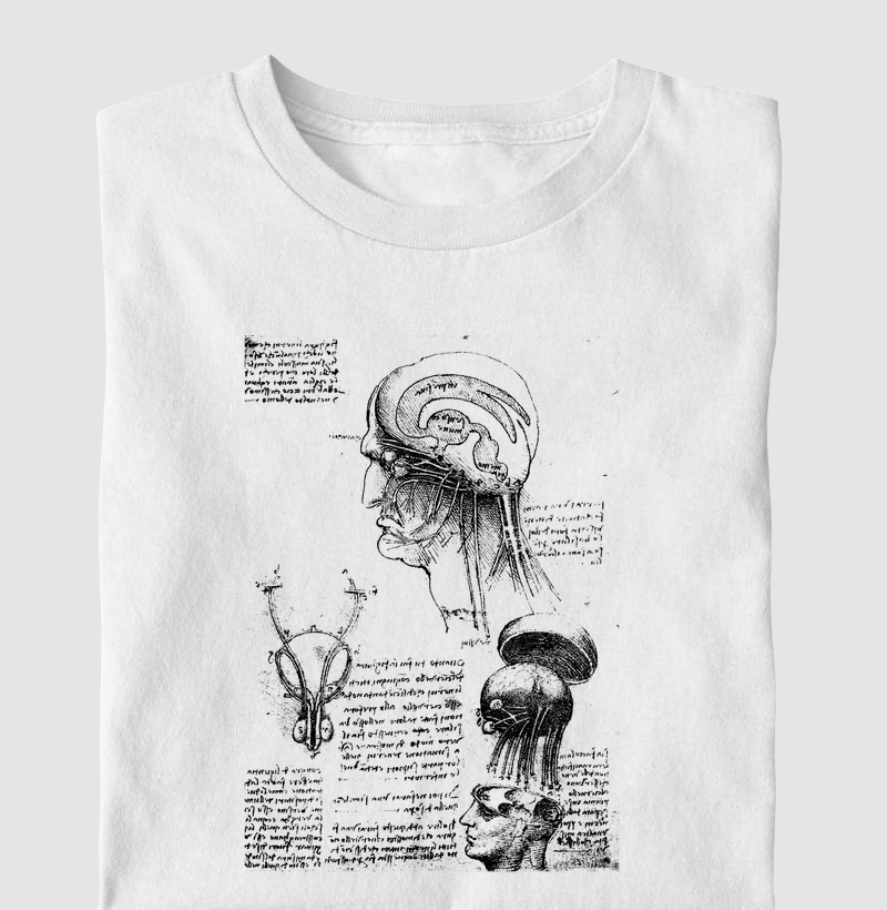 Brain_Physiology (1510) - Leonardo Da Vinci