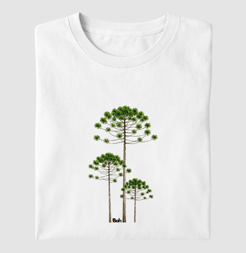 Araucárias