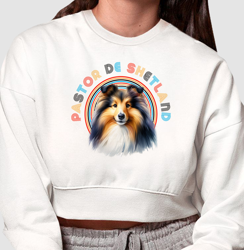 Pastor de Shetland Colorida