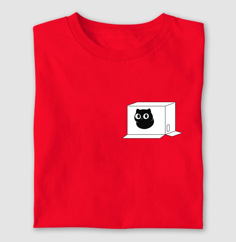 Miauzim Brincando na Caixa