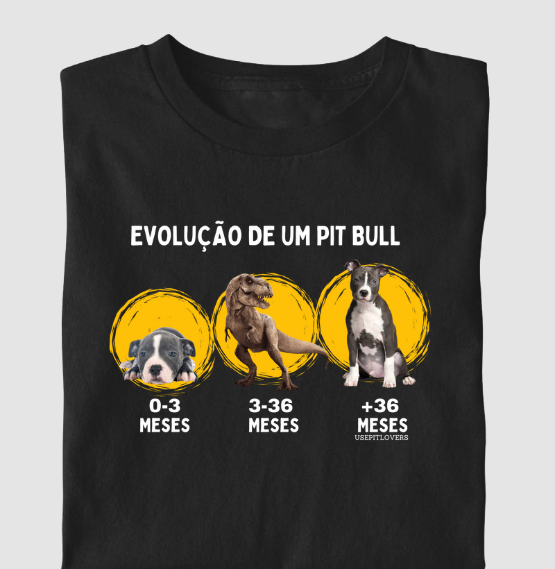 Evolução de um Pit Bull 