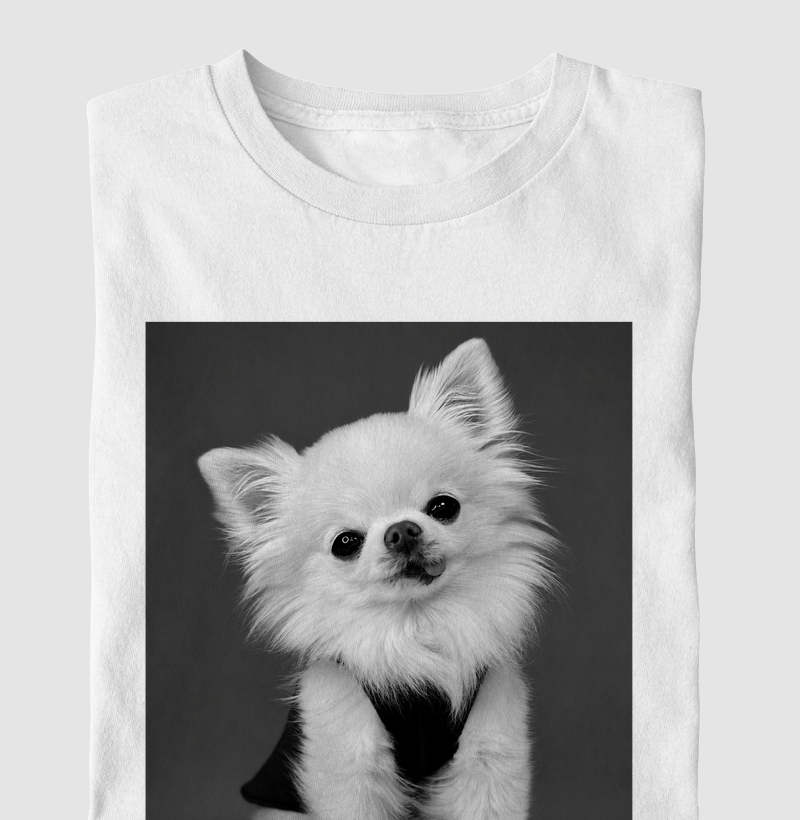 Chihuahua de Pelúcia