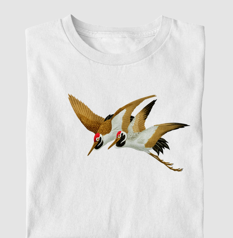 Sarus Crane