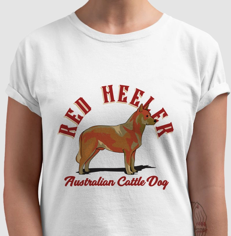 Australian Cattle Dog Red
