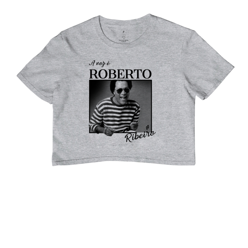 252 - A VOZ É ROBERTO RIBEIRO