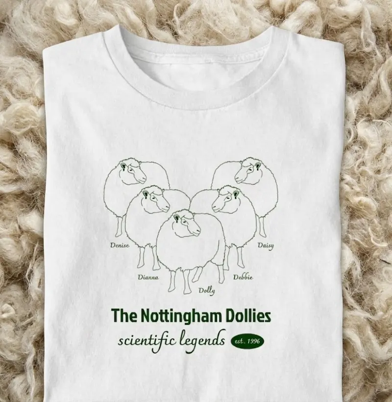 dollies
