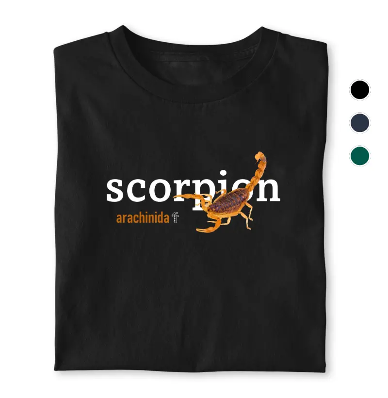 Scorpion