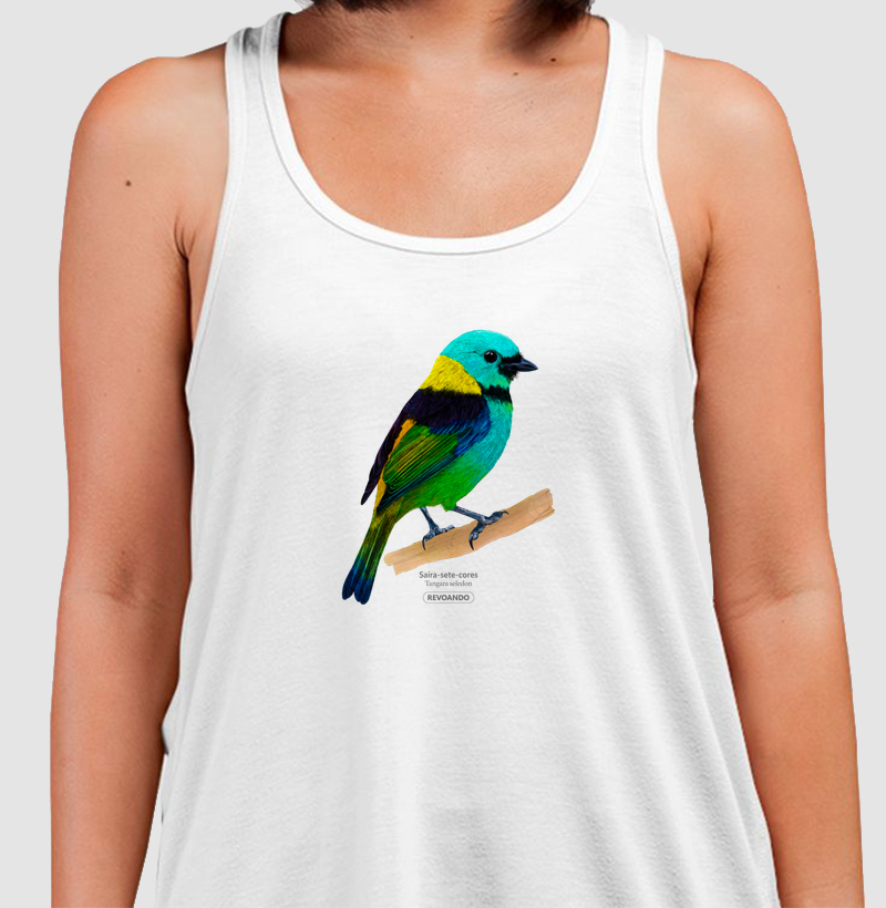 Aves do Brasil- Saíra-sete-cores - Regata