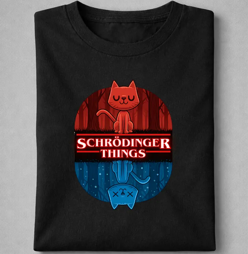 Schrödinger Things