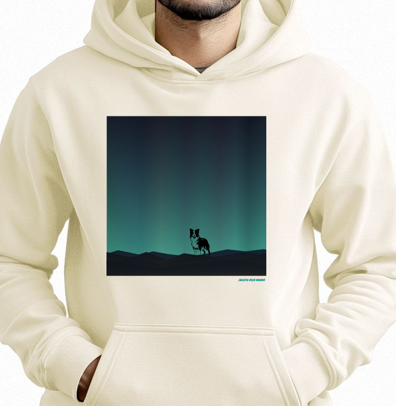 Aurora Border Collie