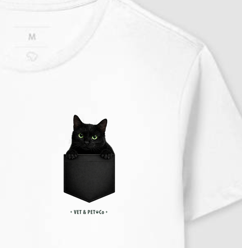 Gato de bolso (Preto)
