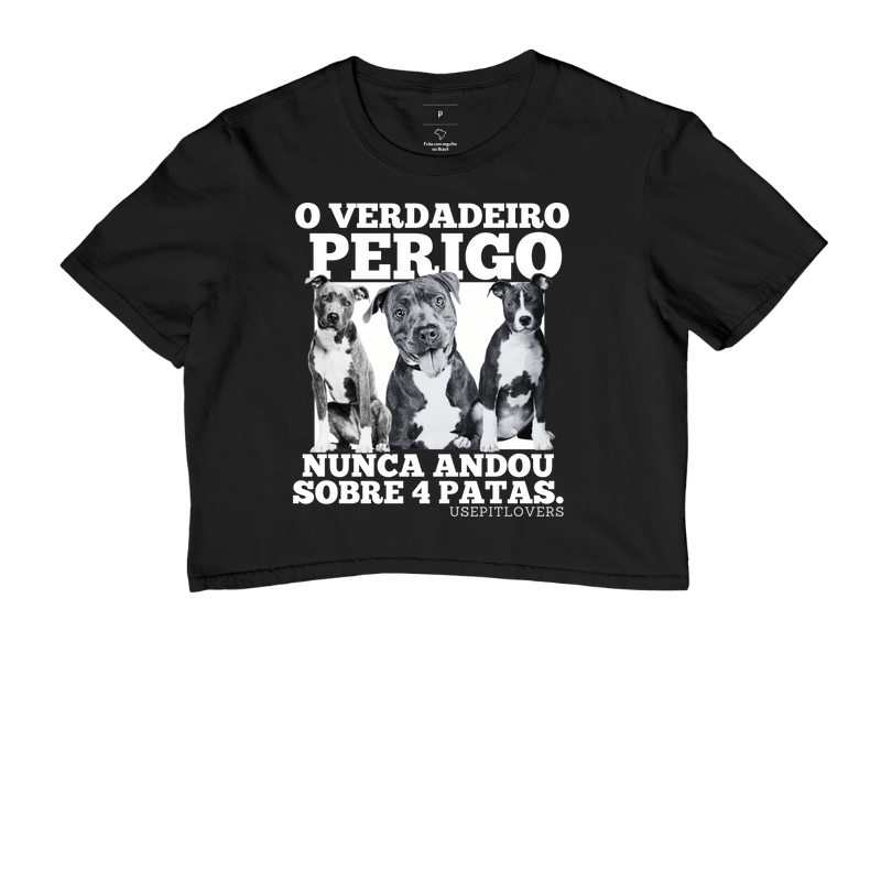 O VERDADEIRO PERIGO NUNCA ANDOU SOBRE 4 PATAS