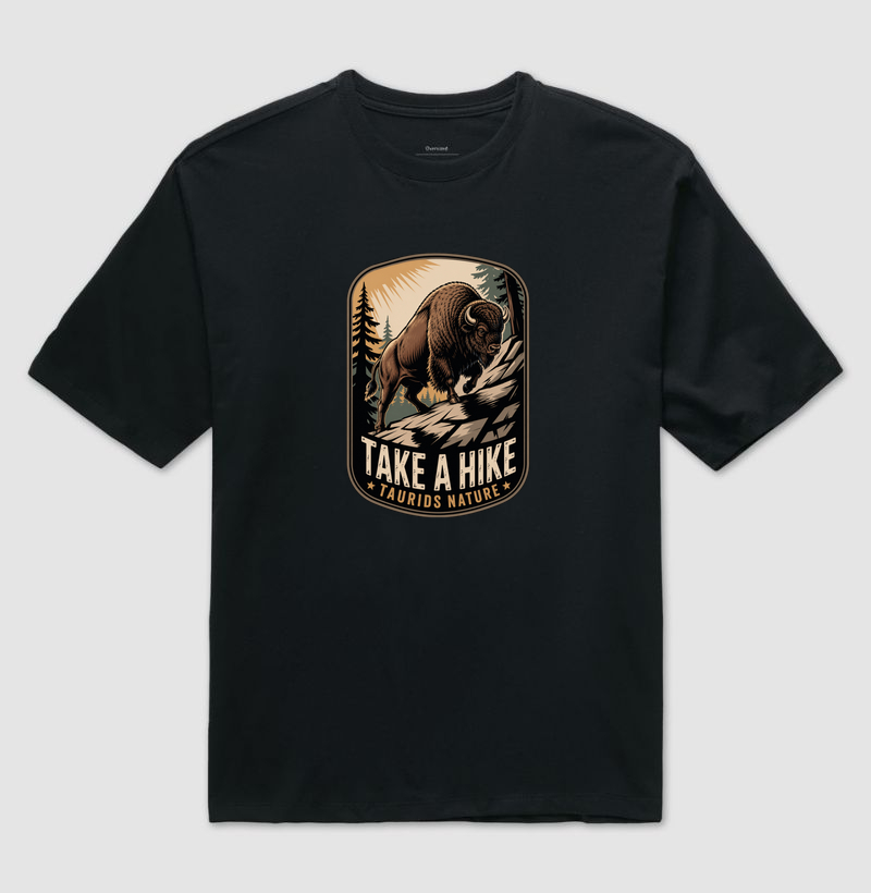 CAMISETA  OVERSIZED TAURIDS TAKE A HIKE 