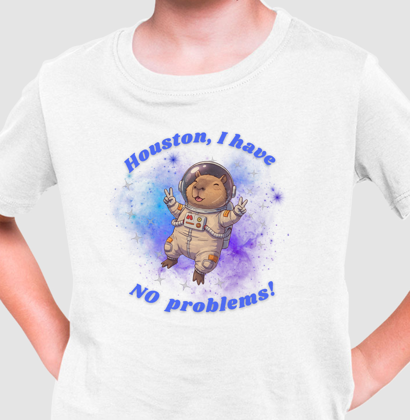 Houston, NO problems