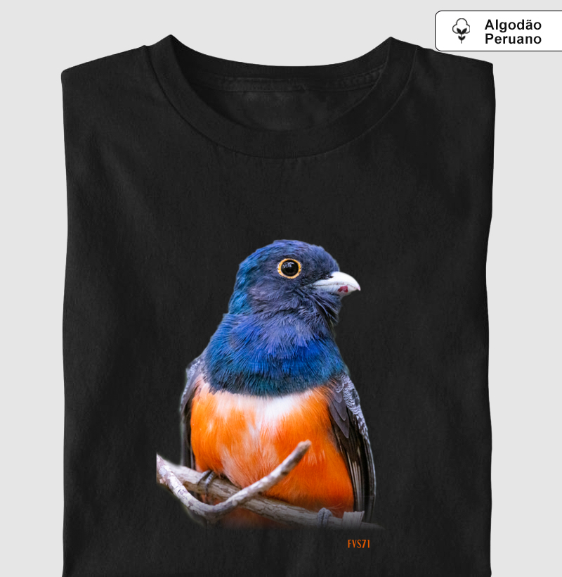 Surucuá-de-barriga-vermelha