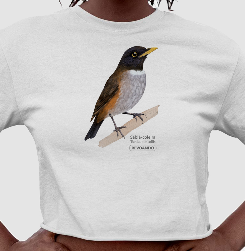 Aves do Brasil - Sabiá-coleira - Cropped