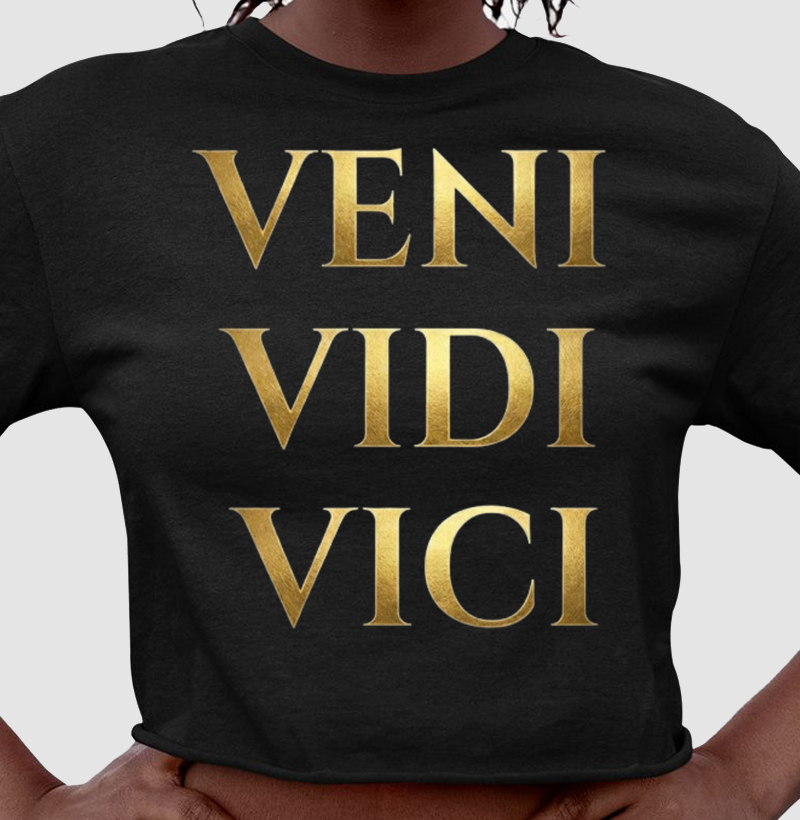 VENI VIDI VICI