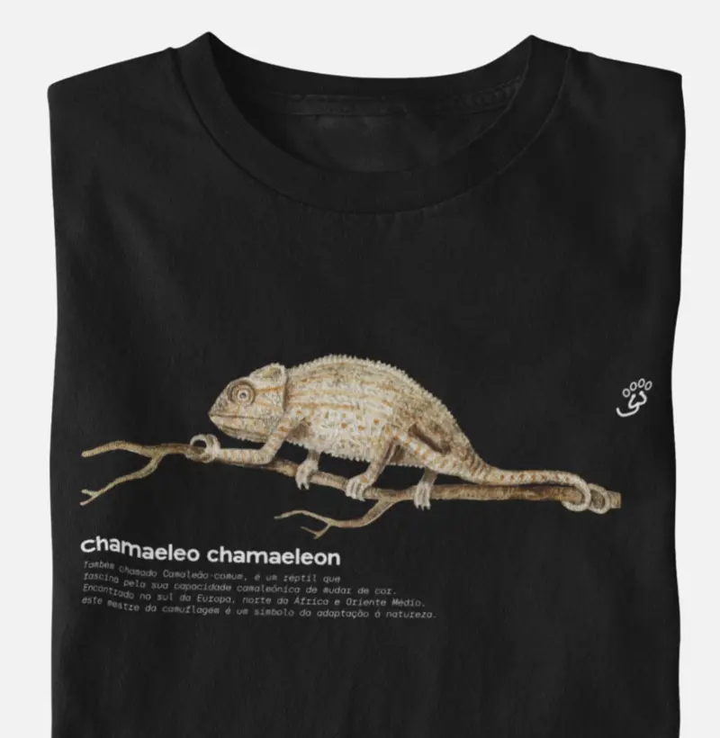 Chamaeleo chamaeleon