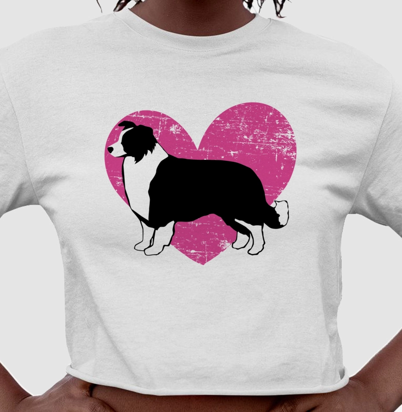 Border Collie Coração Rosa