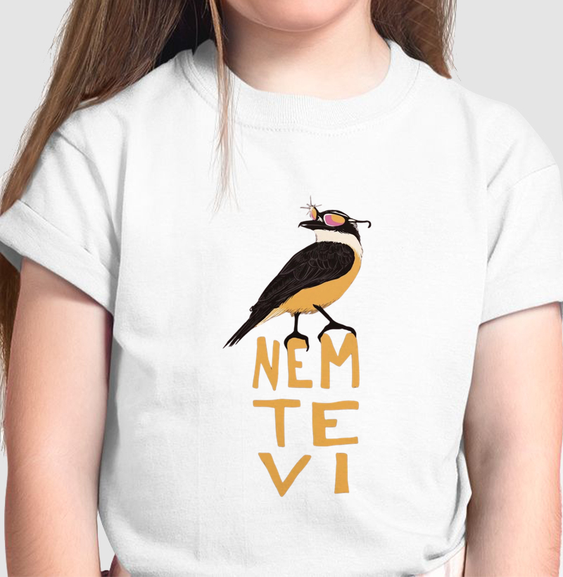 Nem Te Vi