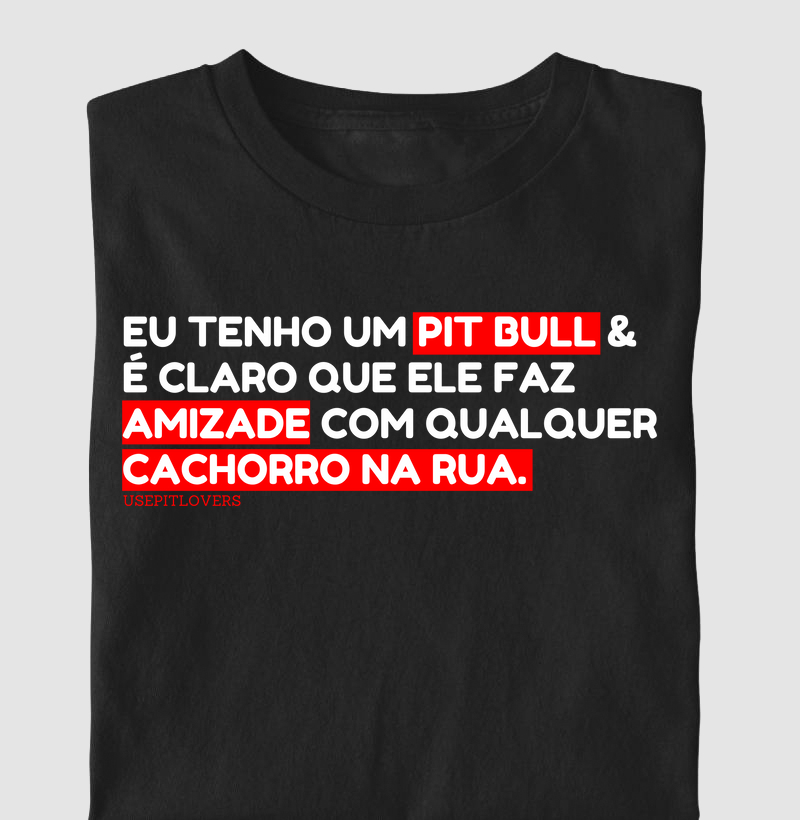 EU TENHO UM PITBULL E É CLARO QUE ELE FAZ AMIZADE COM QUALQUER CACHORRO NA RUA.