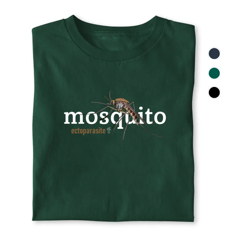 Mosquito