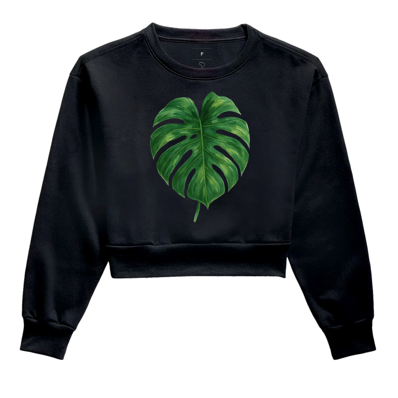 Folha Costela-de-Adão