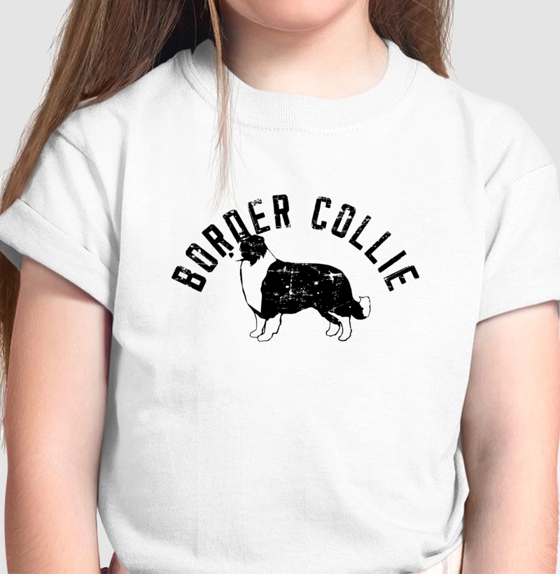 Borde Collie Preto Vazado