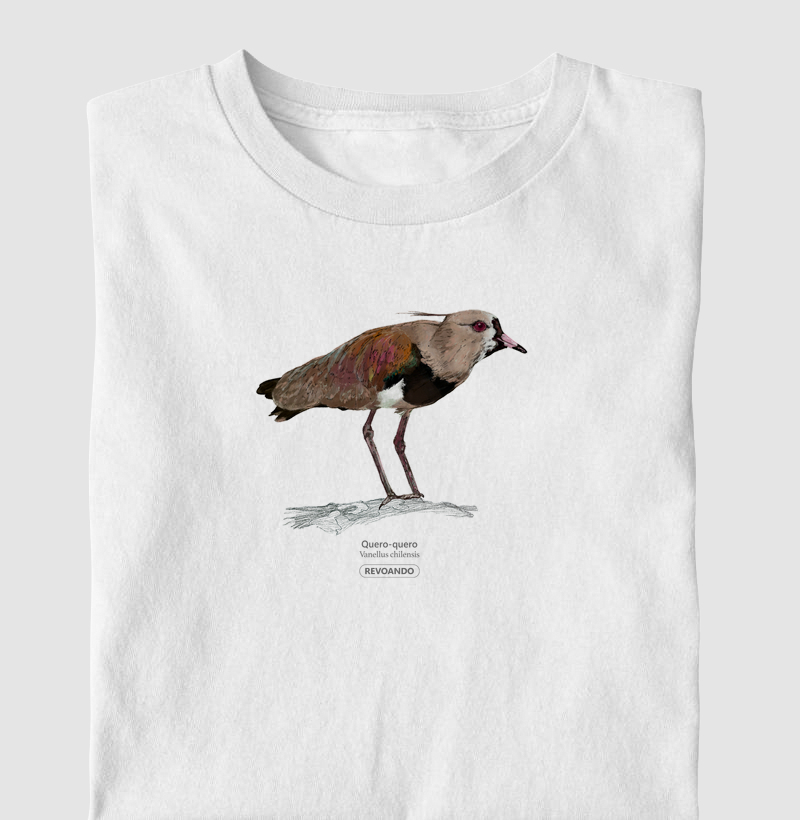 Aves do Brasil - Quero-Quero - Infantil