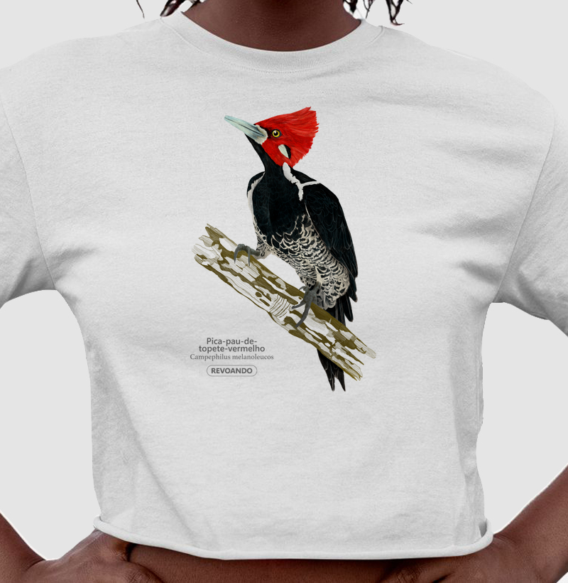Inky Aves - Pica-pau-de-topete-vermelho - Cropped