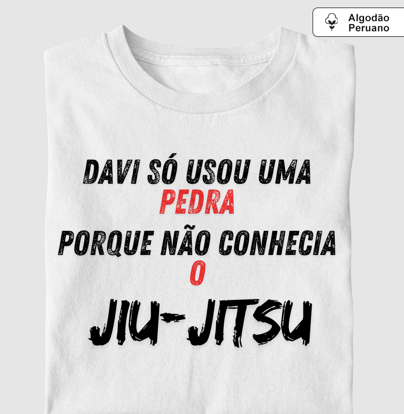 Davi só usou uma pedra porque não conhecia o Jiu Jitsu 